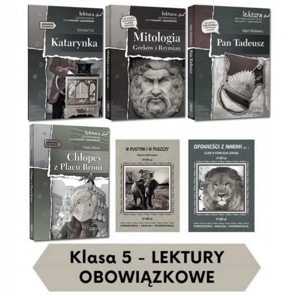 Lektury na egzamin ósmoklasisty: jak je opanować, a nie tylko czytać?