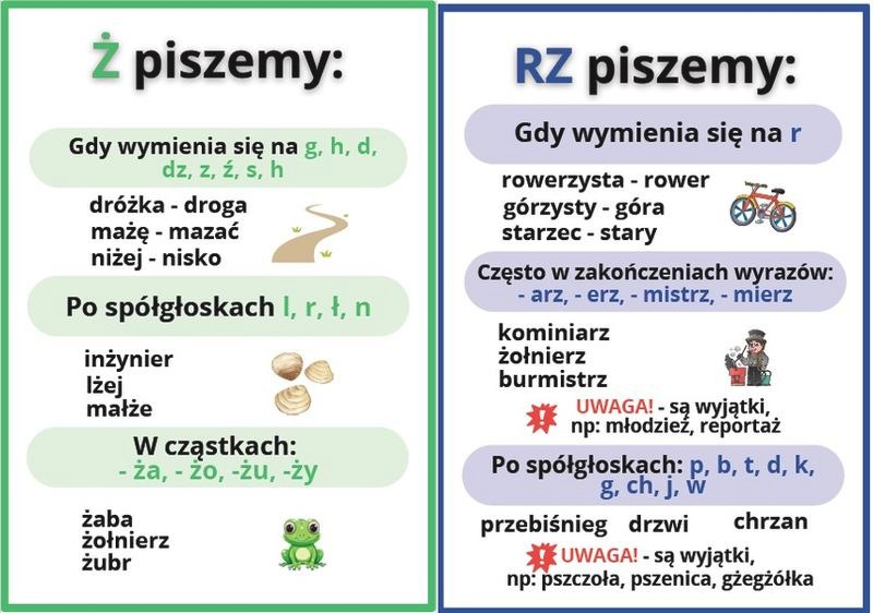 Niejeden czy nie jeden? Zasady pisowni i odmiany bez błędów