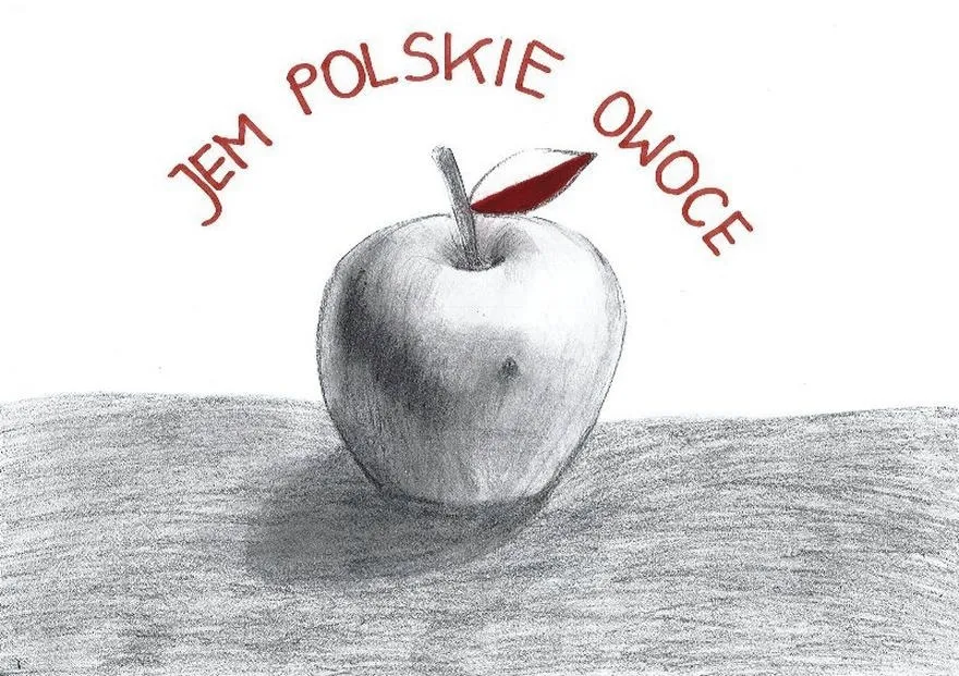 Patriotyzm bez patosu: jak kształtować dojrzałą postawę na co dzień