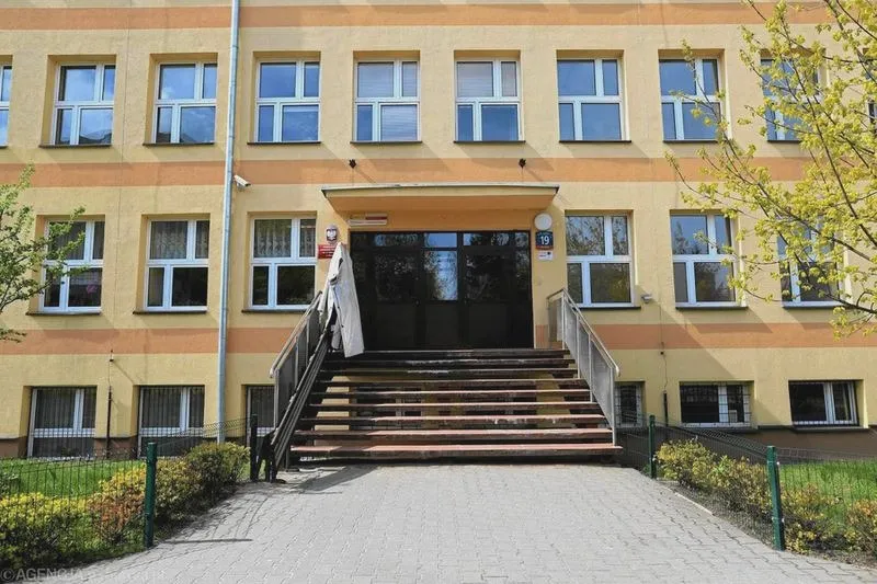 Program działań edukacyjnych – czym jest i jak zaplanować sukces szkoły?